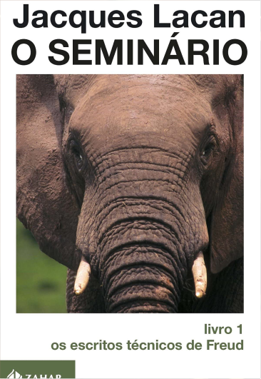 Home seminário lacan v1